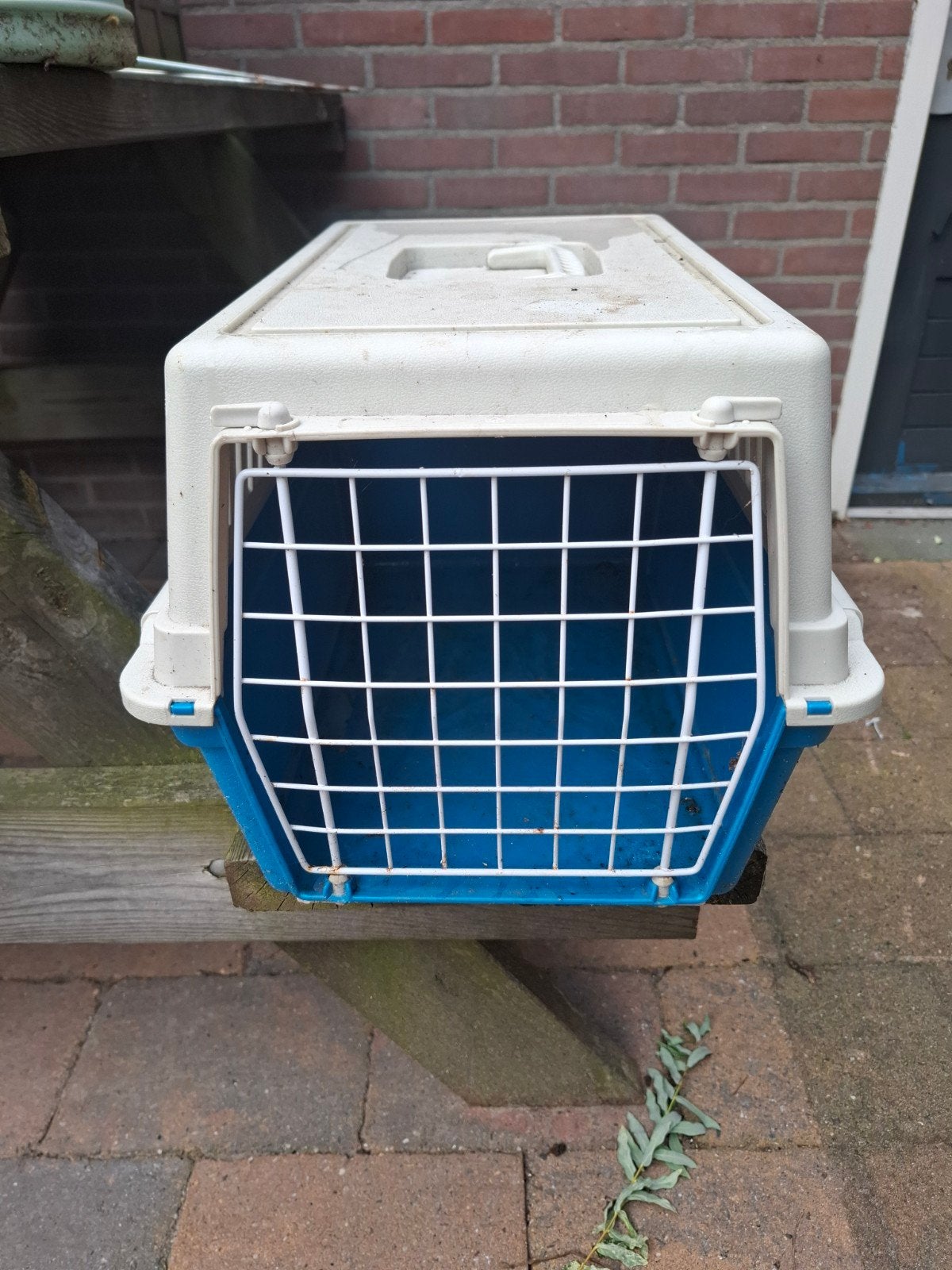 katten reisaanbod., Dieren en Toebehoren, Ophalen, Gebruikt