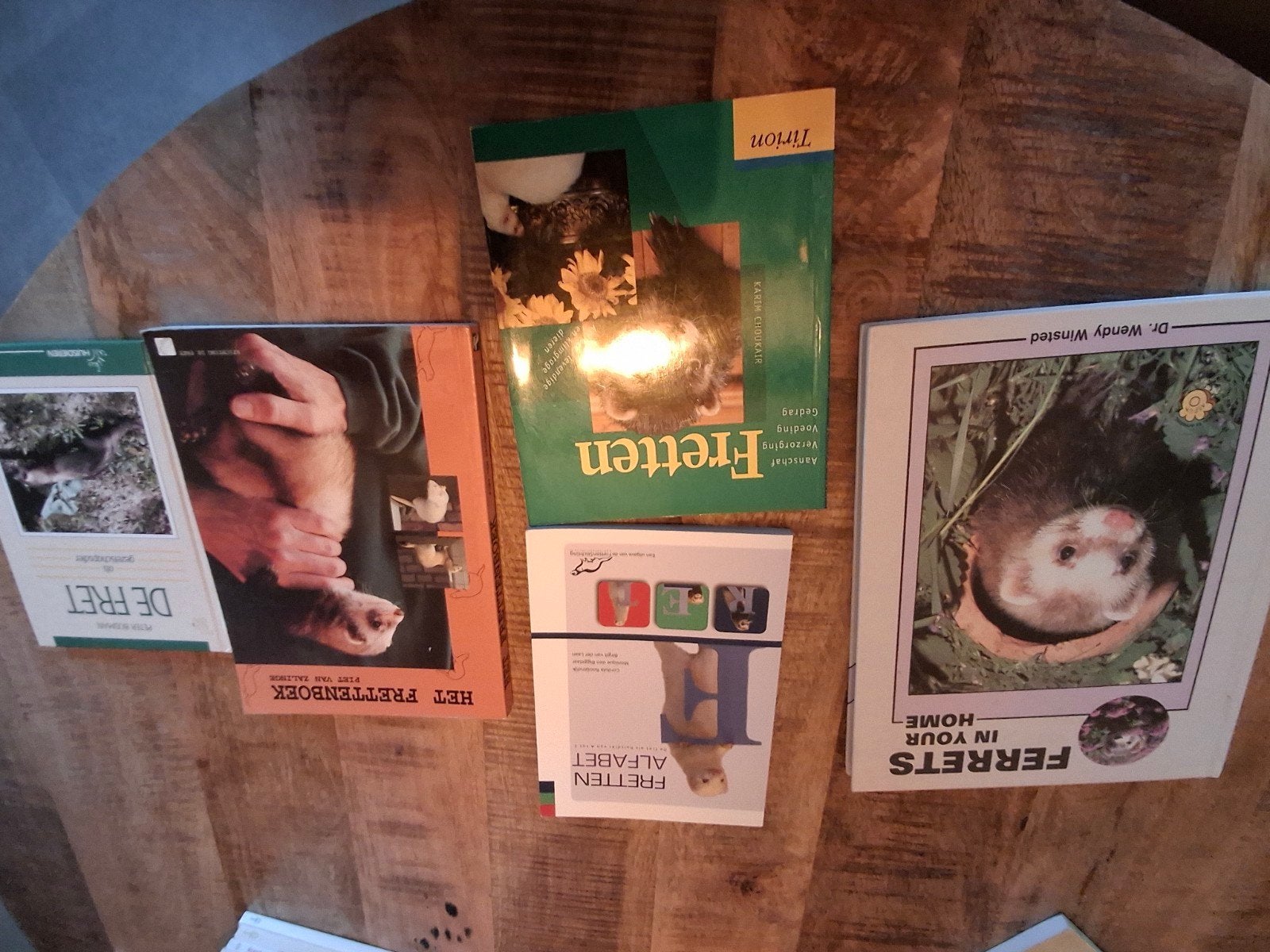 boeken over fret,fretjes,fretten,ferrets, Ophalen of Verzenden, Gelezen