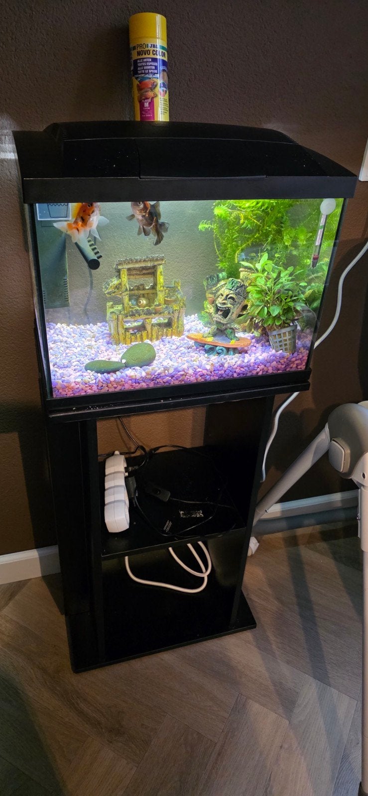 aquarium met vissen, Ophalen of Verzenden, Zo goed als nieuw, Gevuld zoetwateraquarium