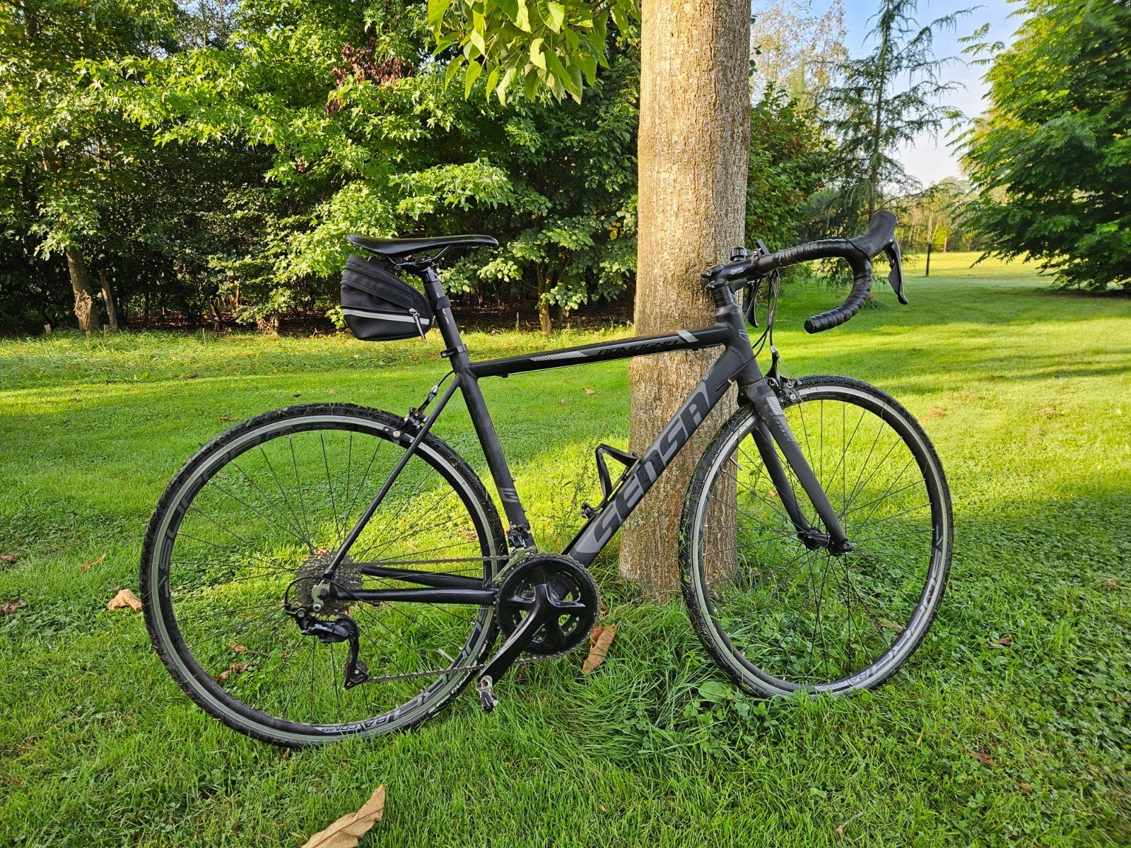 Racefiets Sensa Romagna, Velgrem, Aluminium, 49 tot 53 cm, Zo goed als nieuw