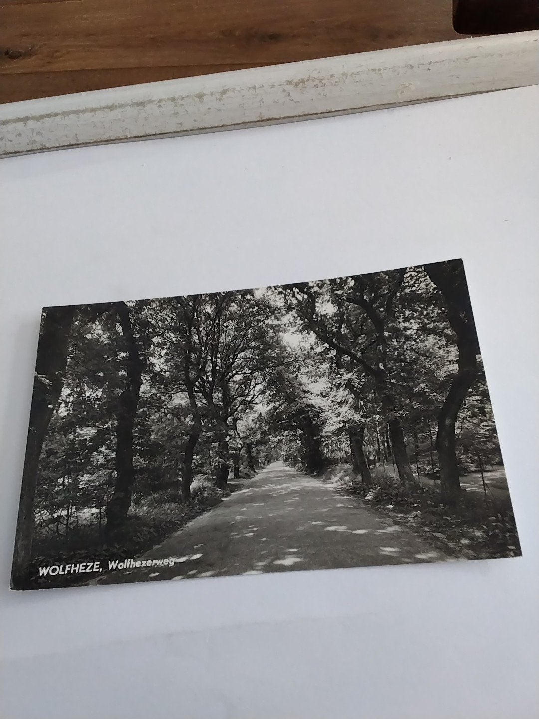 Oude ansichtkaart Wolfheze, Wolfhezerweg - Gelopen 1964, Ophalen of Verzenden, 1940 tot 1960, Gelopen, Gelderland