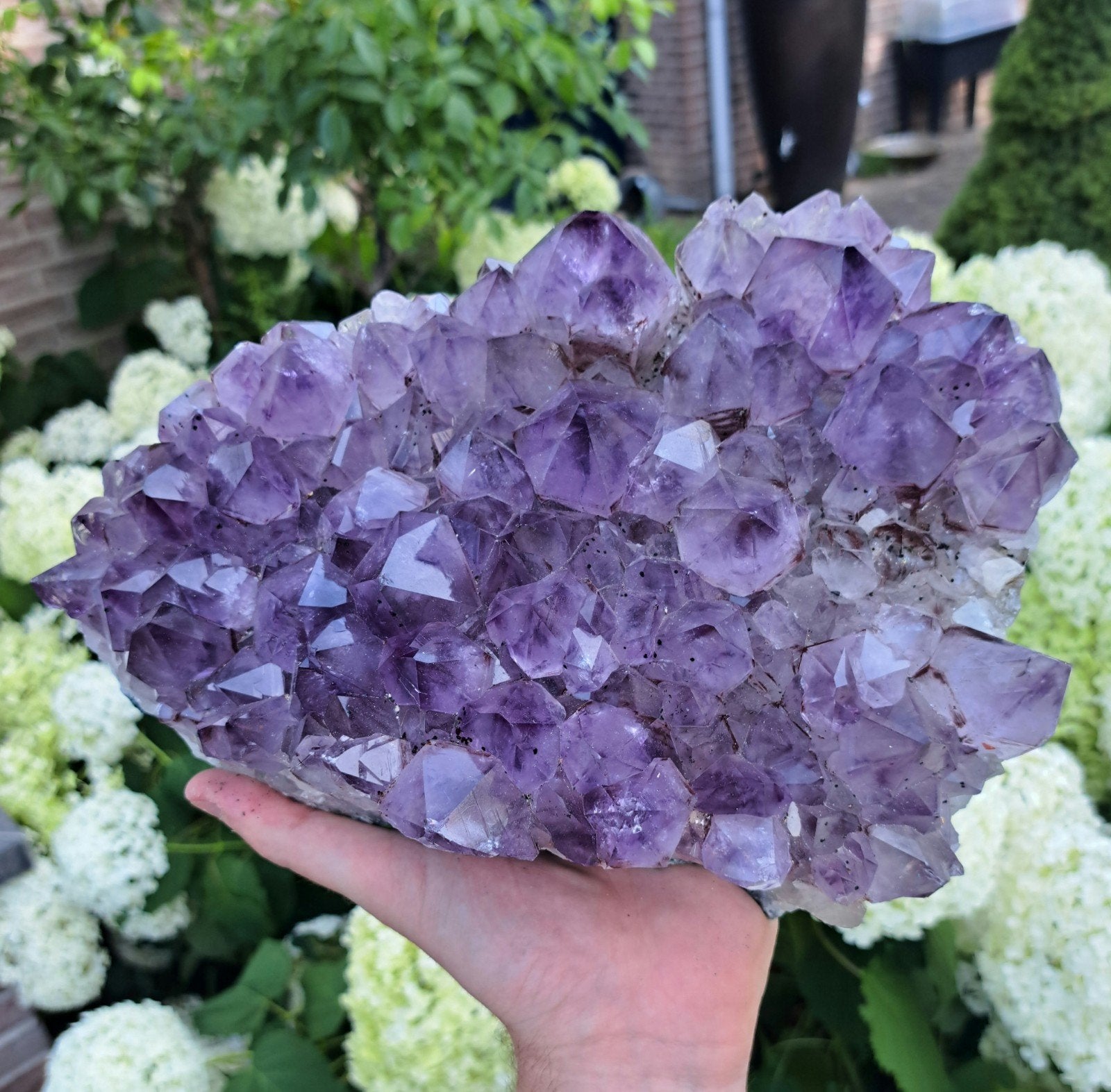Amethist met grote kristallen edelsteen verzameling mineraal, Ophalen of Verzenden