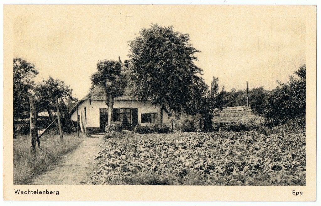 Epe (Gld), Wachtelenberg, ongelopen, uitgave Zwart Epe,, Verzenden, 1940 tot 1960, Ongelopen, Gelderland
