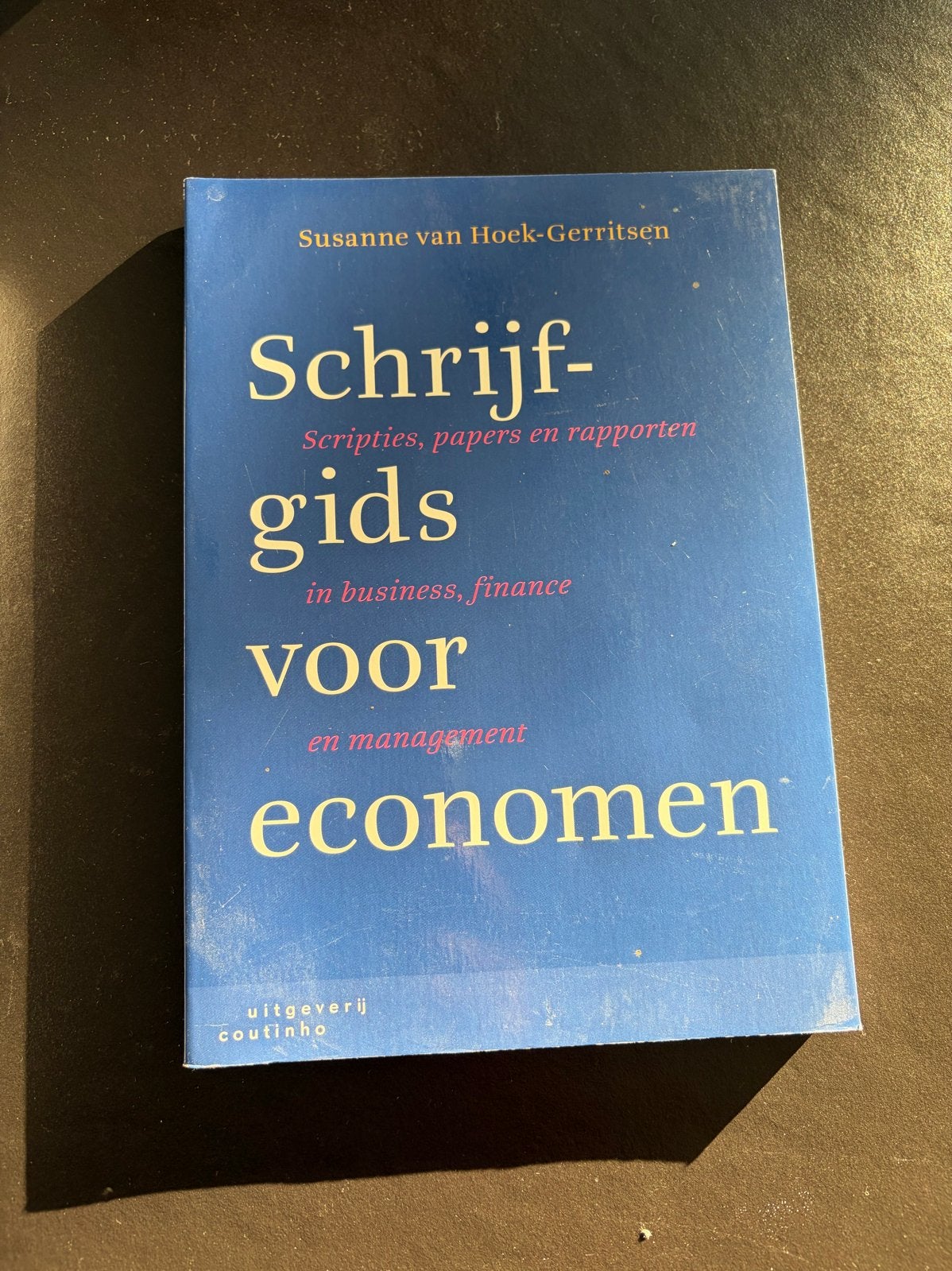 Schrijfgids voor economen - Scripties, papers en rapporten, Ophalen, Gamma, Zo goed als nieuw, HBO