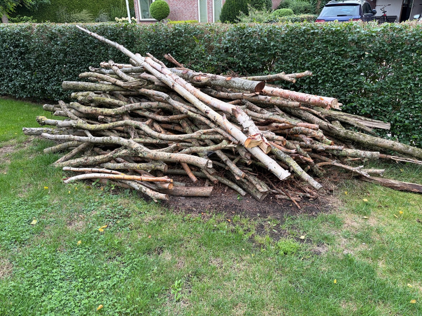 Haardhout - Diverse takken en stammen, Tuin en Terras, Haardhout, Minder dan 3 m³, Ophalen, Overige houtsoorten, Takken