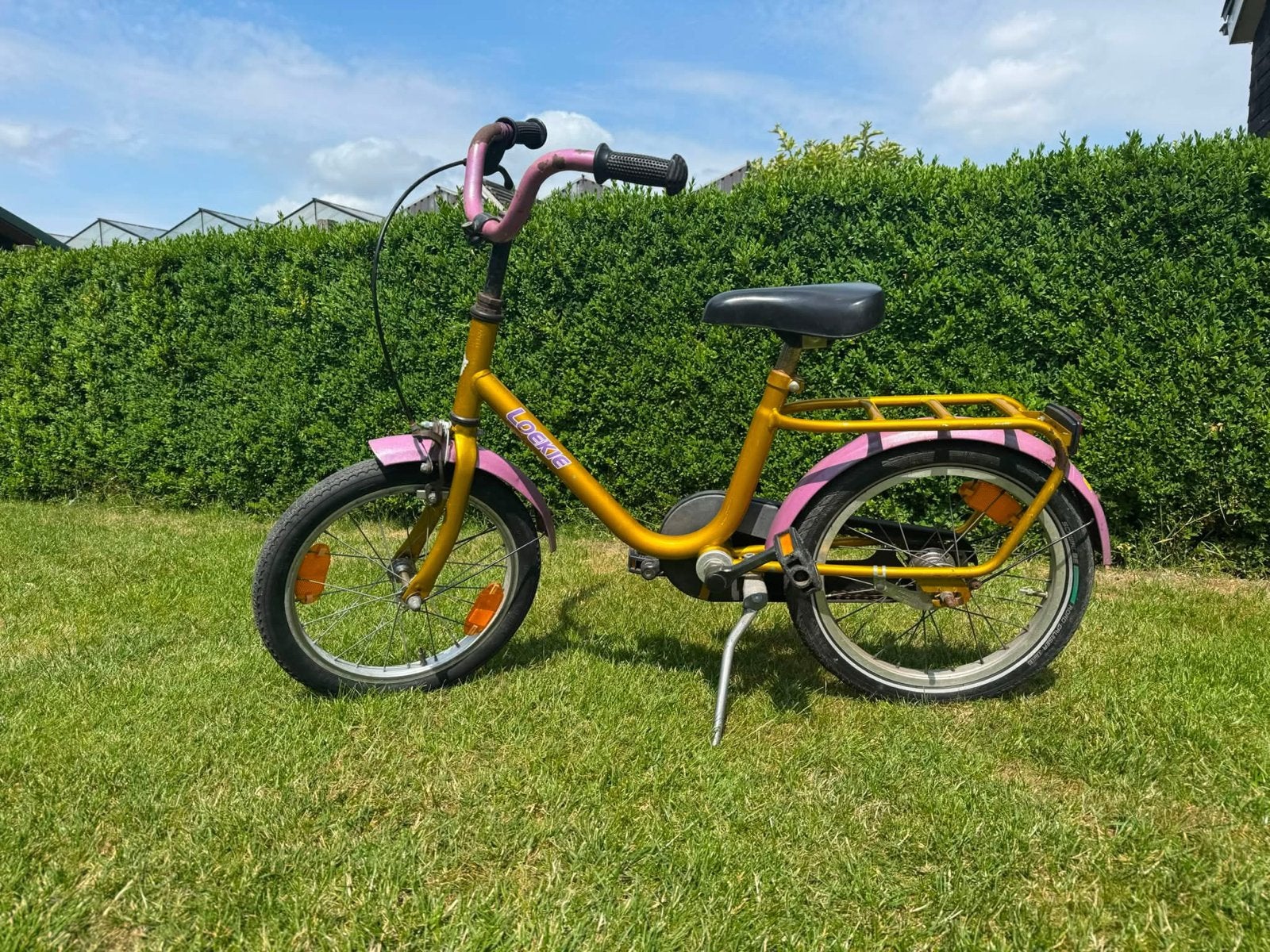 Loekie kinderfiets 16 inch - Ideaal voor de eerste fietsless, Fietsen en Brommers, Fietsen | Kinderfietsjes, Ophalen, Gebruikt