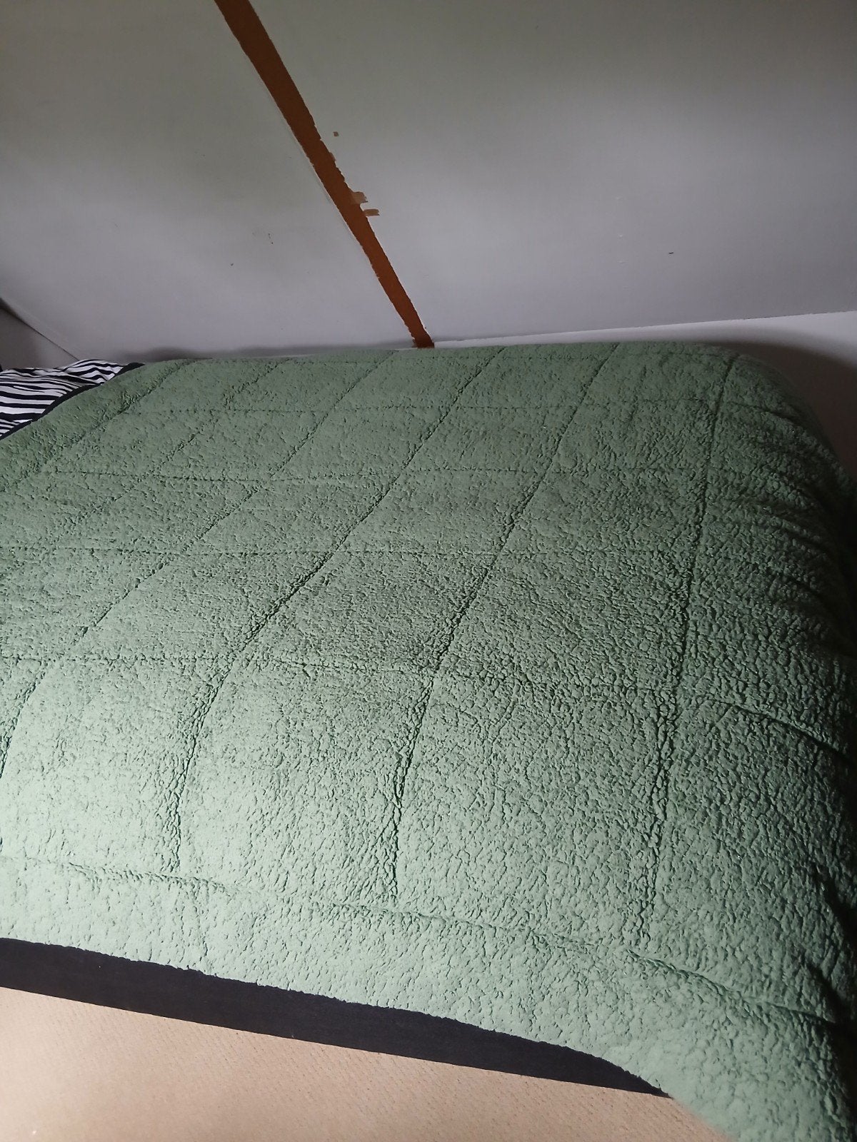 Groene teddy deken tweepersoons, Ophalen of Verzenden, Tweepersoons, Groen, Deken of Dekbed
