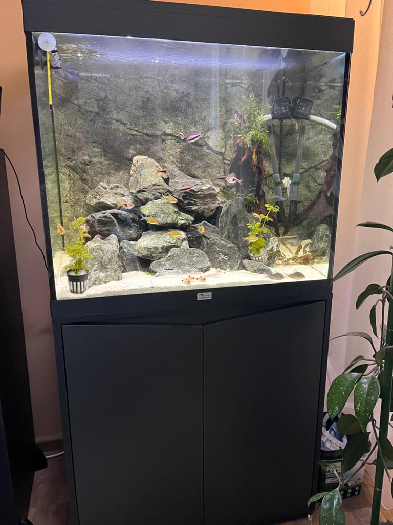 Aquatlantis aquarium, Ophalen, Aquatlantis, Aquariummeubel, Zo goed als nieuw