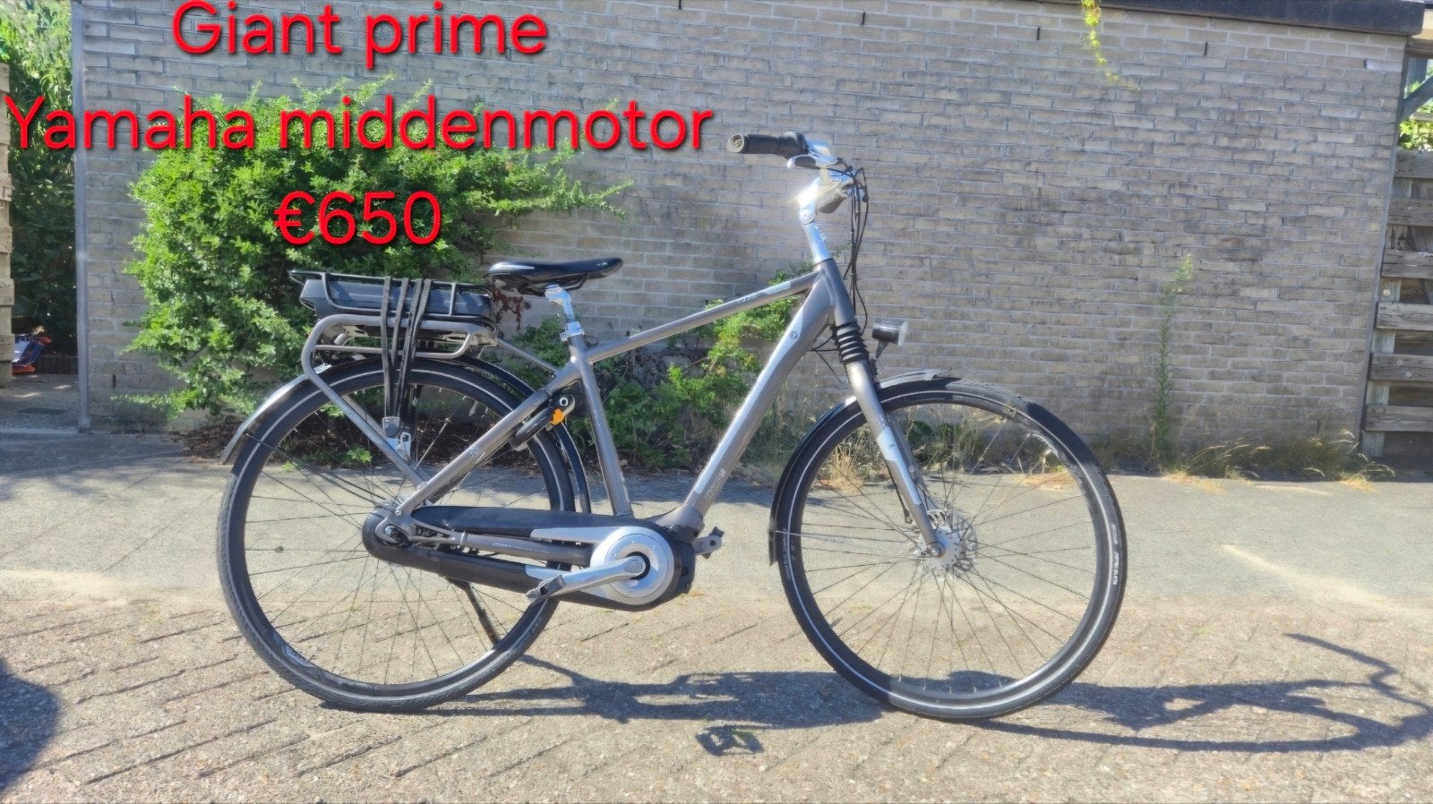 verschillende elektrische fietsen, Ophalen, Zo goed als nieuw, Overige merken