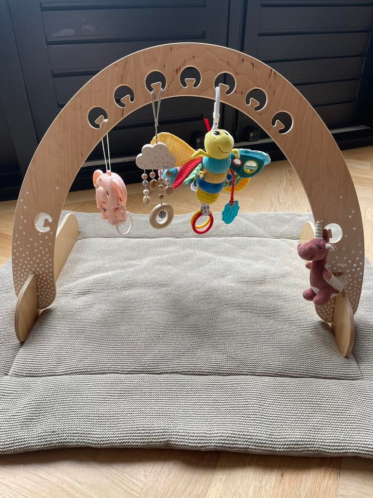 Babygym - HABA Hout, Ophalen, Zo goed als nieuw, Babygym