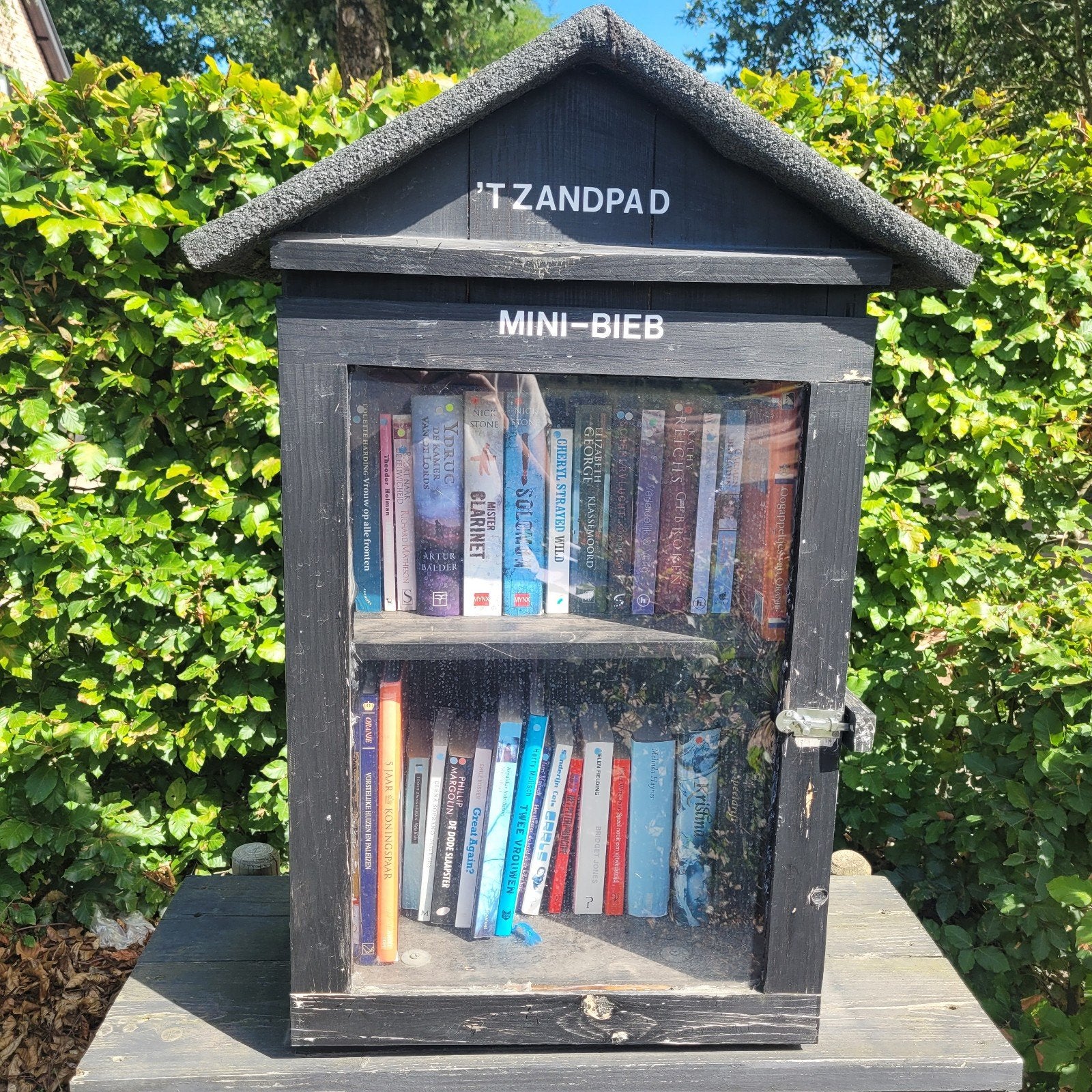 Handgemaakte Mini-Bieb  35/40 boeken, Ophalen, Nieuw, 25 tot 50 cm, Minder dan 100 cm