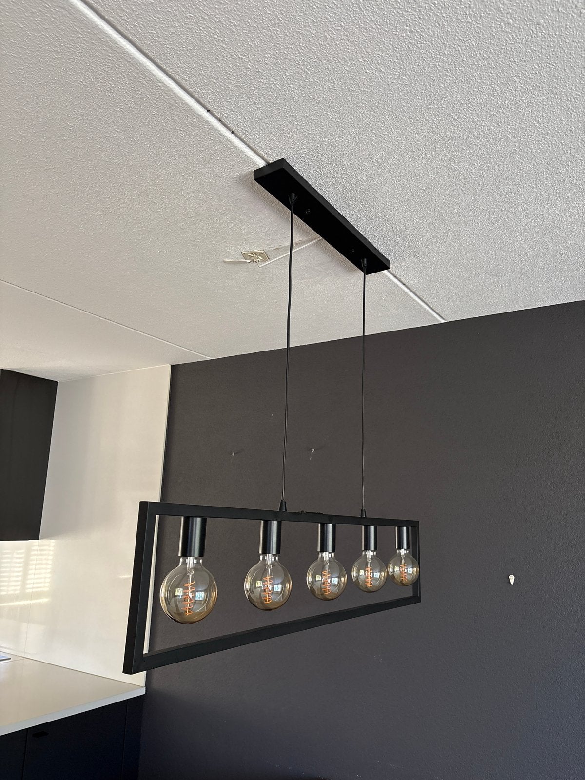 Moderne Zwarte Hanglamp met 5 Edison Lampen, Ophalen, Zo goed als nieuw, Metaal, E27 (groot)