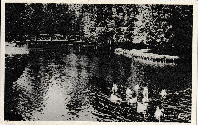 ERMELO - VIJVER 's HEERENLOO, Verzamelen, Ansichtkaarten | Nederland, Ongelopen, Gelderland, 1940 tot 1960, Ophalen of Verzenden