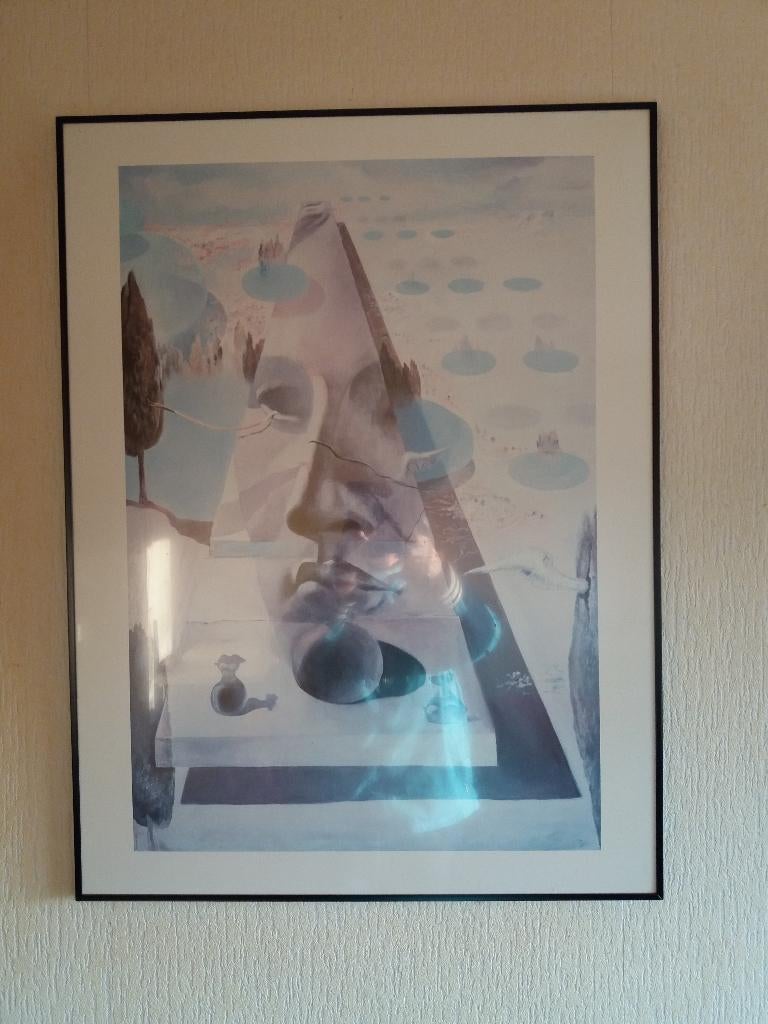 Ingelijste poster van Salvator Dali, Ophalen, Met lijst, Deurposter of groter, Film en Tv
