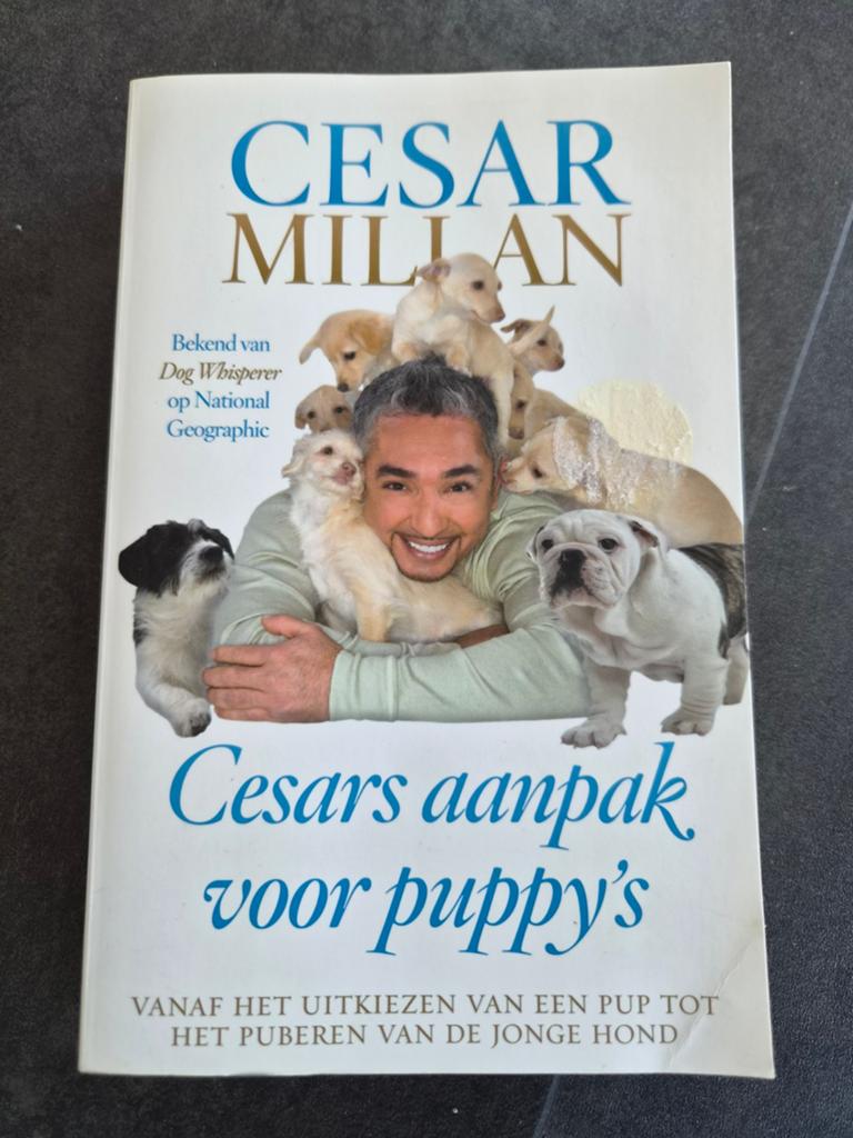 Cesar Millan: Aanpak voor puppy's - Van pup tot jonge hond, Ophalen of Verzenden, Zo goed als nieuw, Honden, Cesar Millan