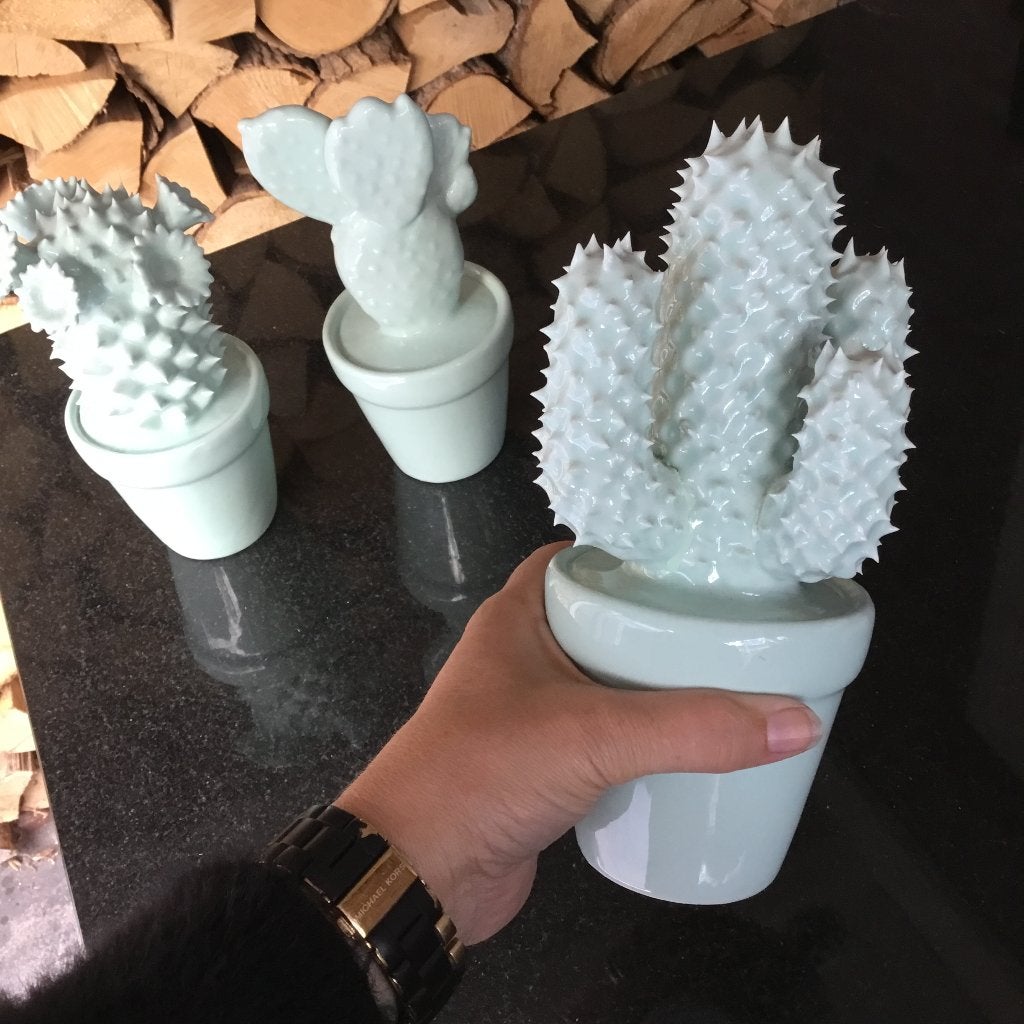 Cactus in bloempot 2x groene beelden KARE Design, Ophalen of Verzenden, Nieuw, Mens