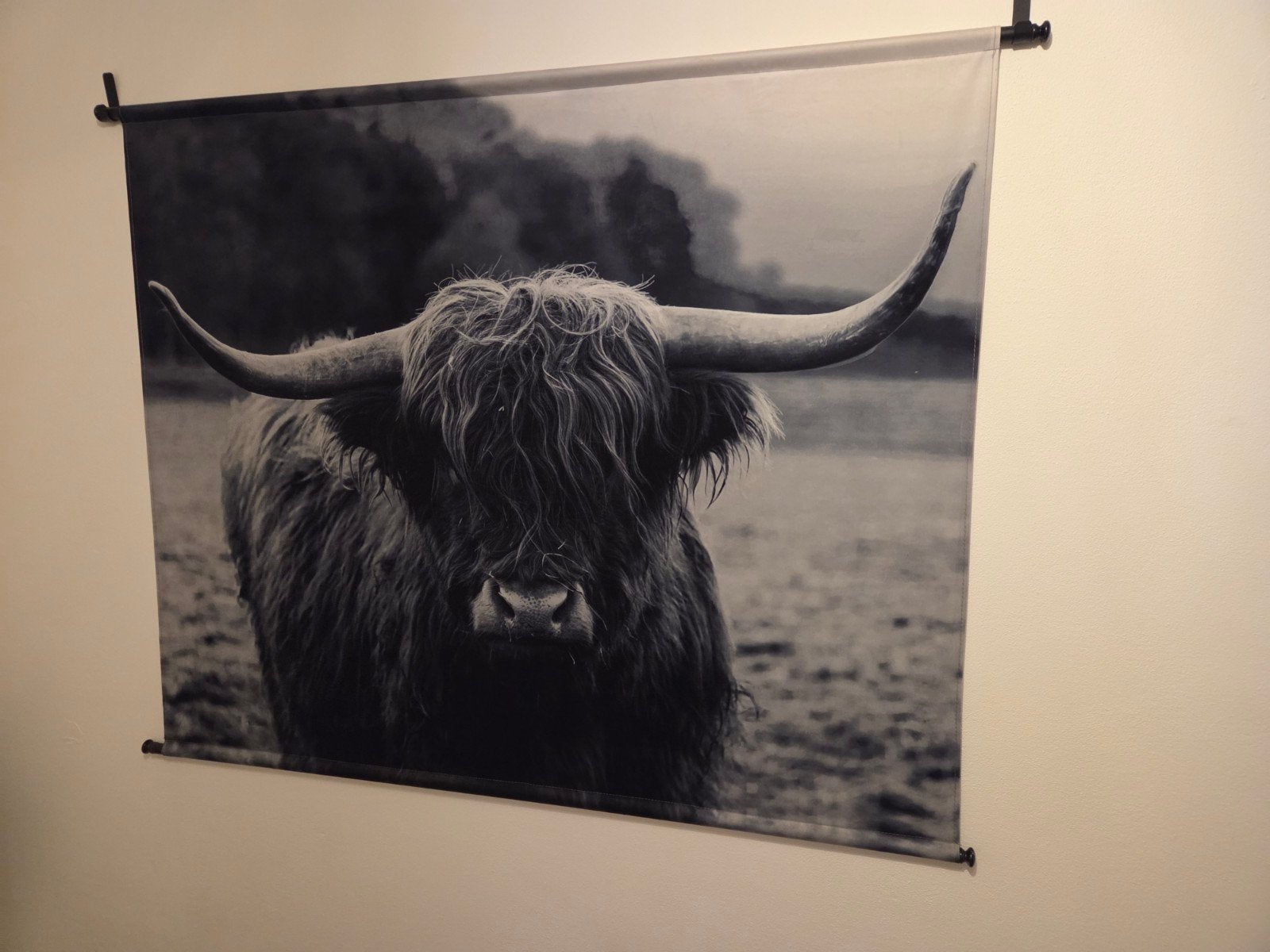 Wandkleed Schotse Hooglander - Zwart-wit, Ophalen, Zwart, Zo goed als nieuw, Wandkleed