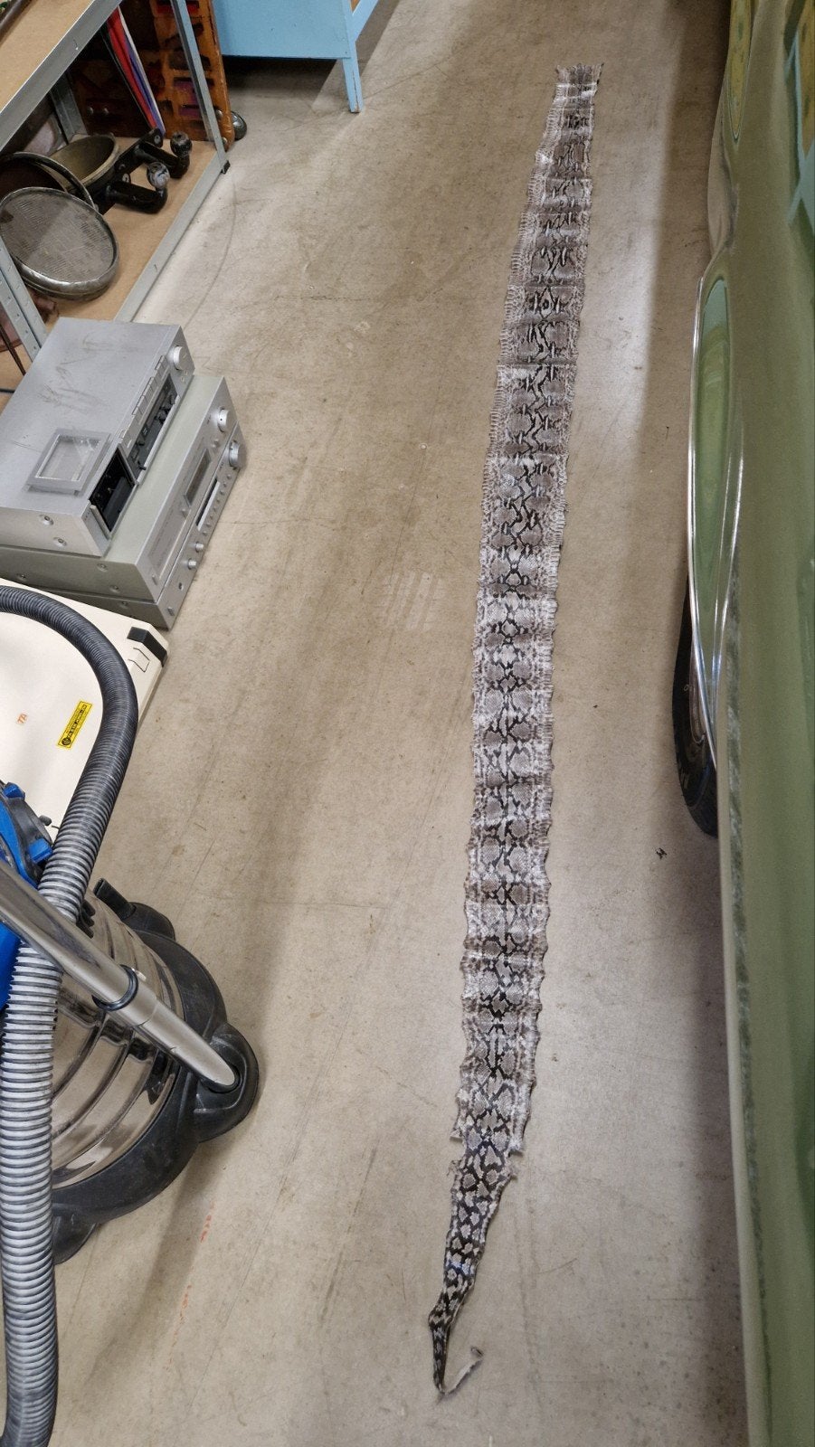 Antiek slangenleer 280 cm!, Ophalen of Verzenden