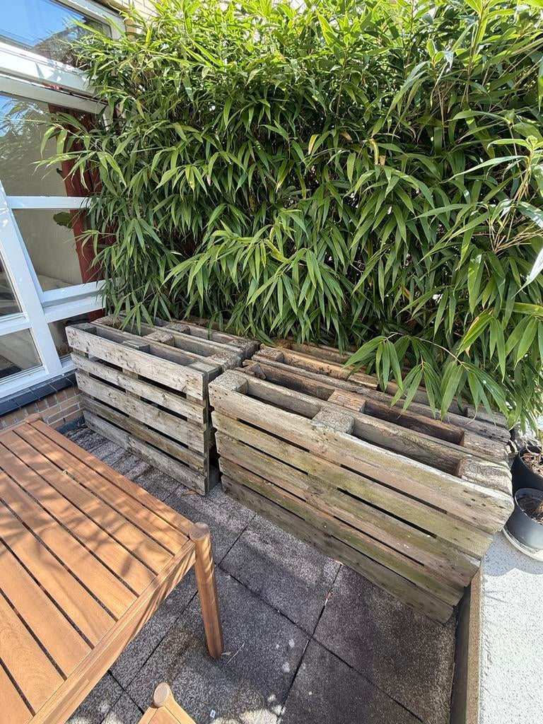 8 pallets in goede staat, Ophalen, Overige typen, 50 mm of meer, Minder dan 200 cm