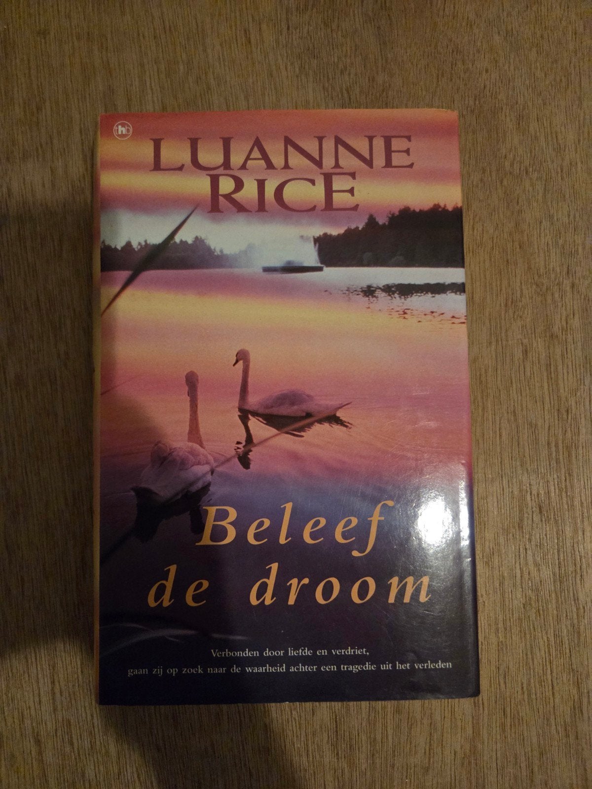 Luanne Rice - Beleef de droom, Ophalen of Verzenden, Gelezen, Luanne Rice