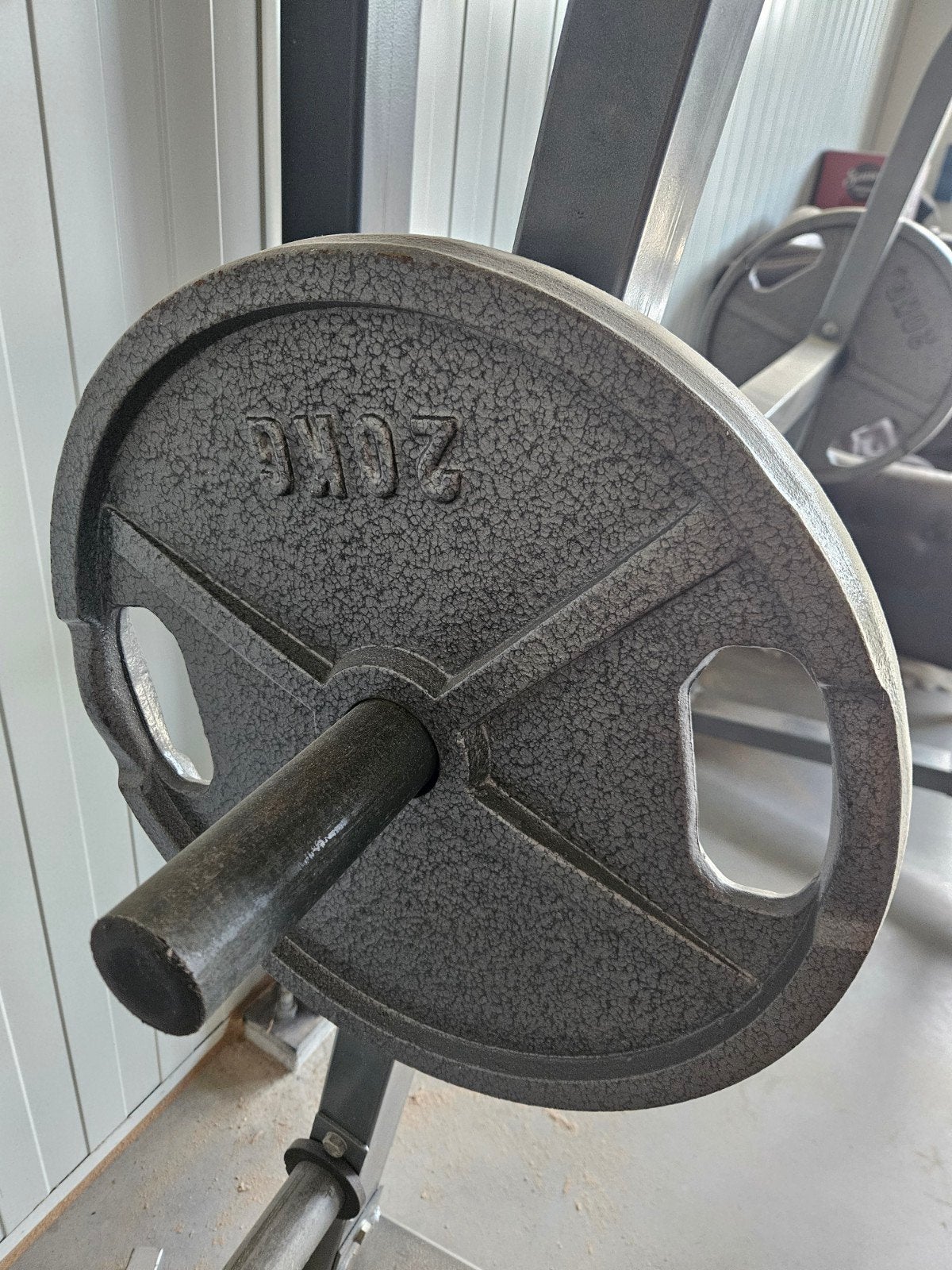 2x20KG Halterschijf Olympische afmetingen, Ophalen of Verzenden, Gebruikt, Armen, Halterschijven