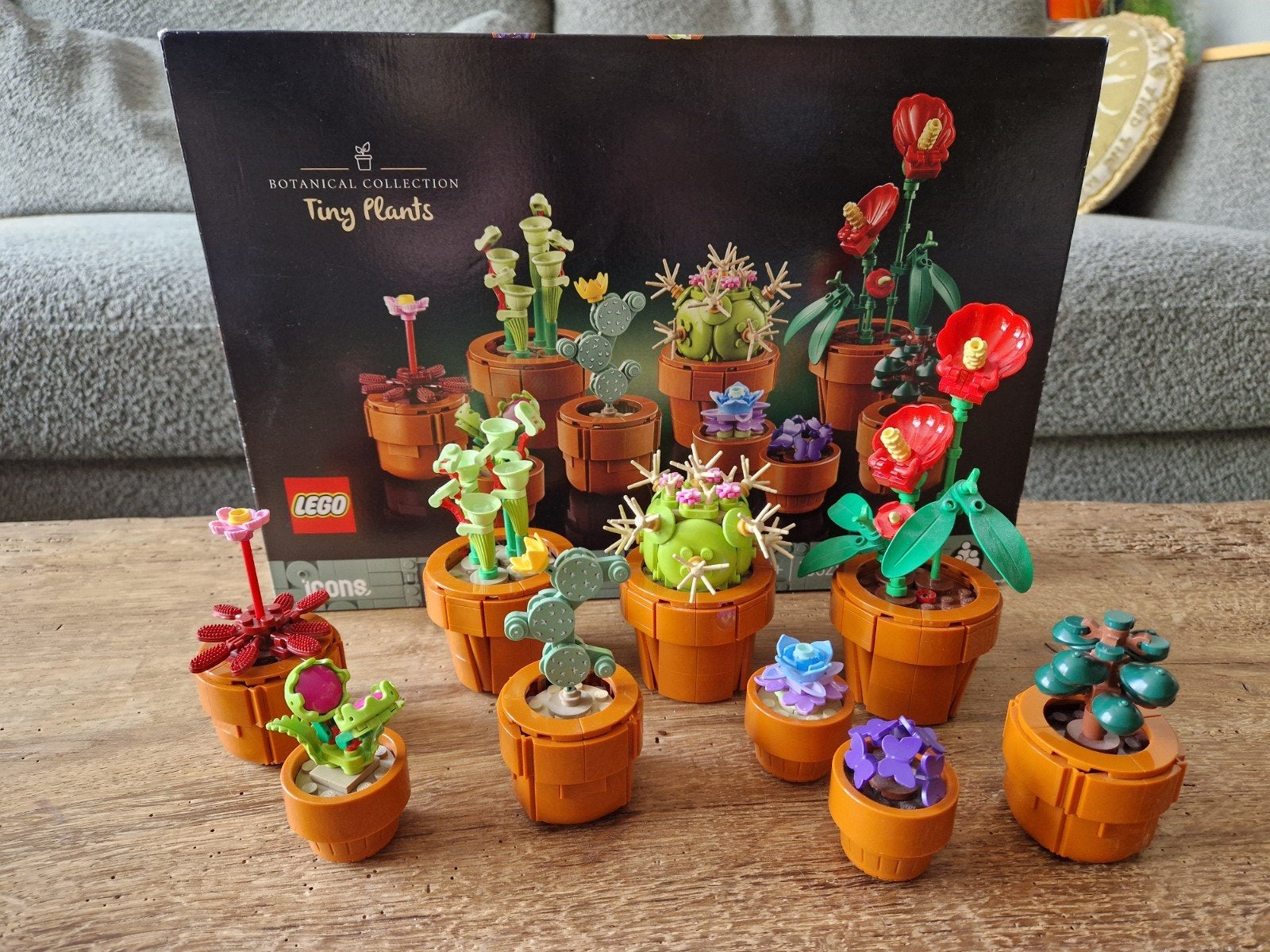 Lego botanical collection tiny plants, Ophalen of Verzenden, Gebruikt, Groter dan 1:32