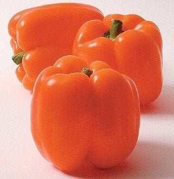 Oranje Paprika zaden, Ophalen of Verzenden, Voorjaar, Volle zon, Zaad