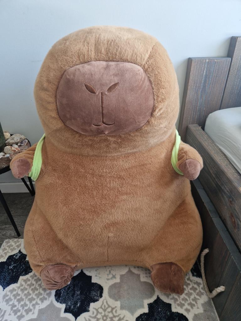 Grote Capybara Knuffel met Schildpad Rugzak, Overige merken, Overige karakters, Overige typen, Ophalen of Verzenden