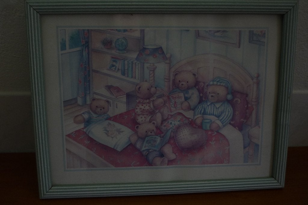 2  beren  schilderijen, Ophalen of Verzenden, Zo goed als nieuw, Minder dan 50 cm, Schilderij
