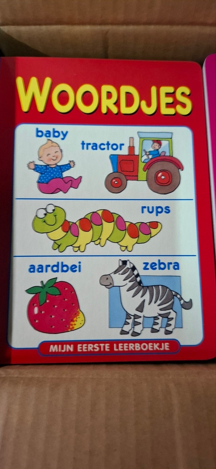 46 x Eerste Leerboekje: Woordjes & 123 (Set van 2), Diversen, Flash, Nieuw, Ophalen of Verzenden, Flash .com