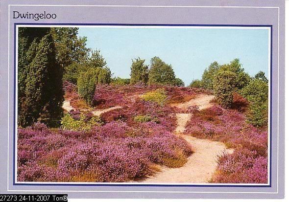 Ansichtkaart	Dwingeloo	Heide, Verzenden, 1980 tot heden, Gelopen, Drenthe