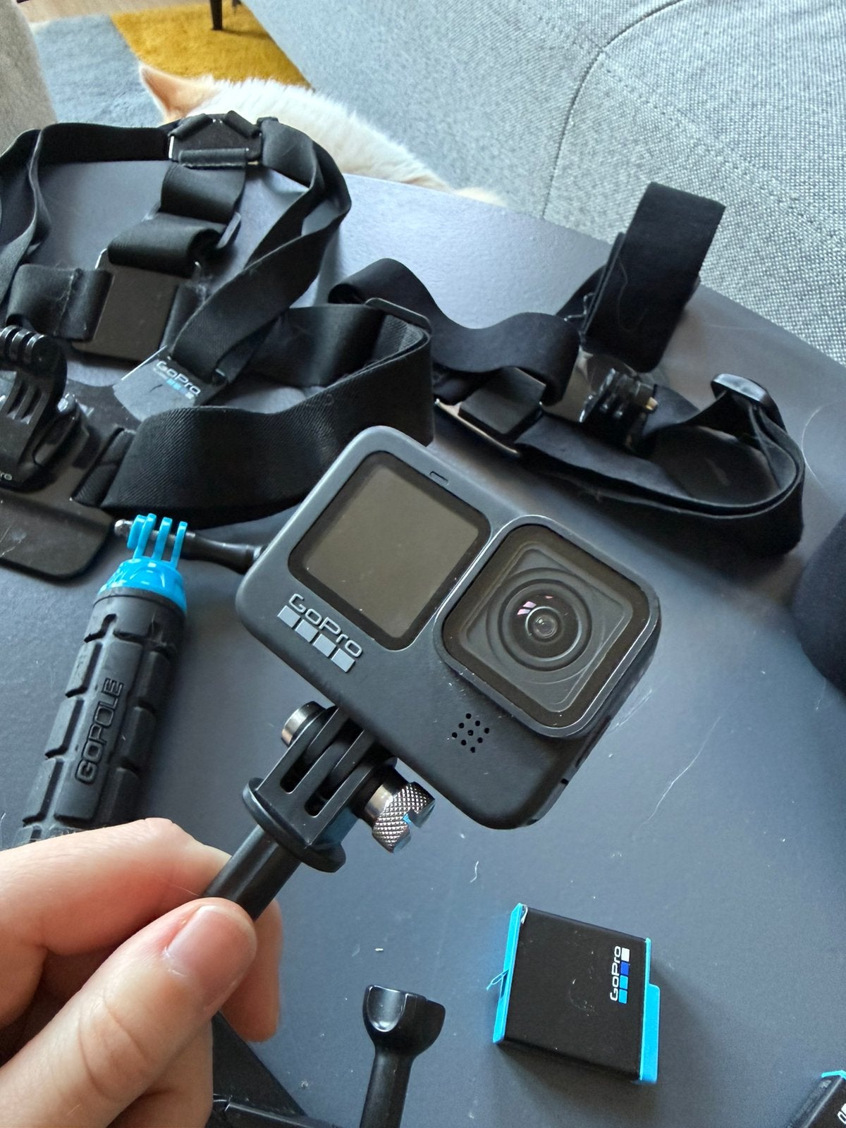 GoPro hero 9 black, 3 accu’s, microSD 256GB en mounts, Ophalen of Verzenden, Gebruikt, GoPro