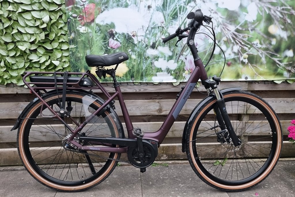 ebike pegasus siena E7f n7 59 cm,belt,  bosch plus 500wh, 56 cm of meer, Zo goed als nieuw, Meer dan 20 versnellingen, Ophalen