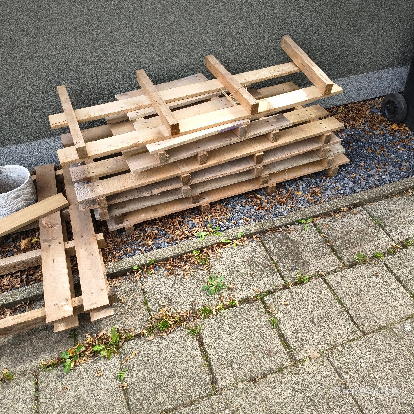 brandhout, Ophalen, Overige houtsoorten, Minder dan 200 cm, Pallet
