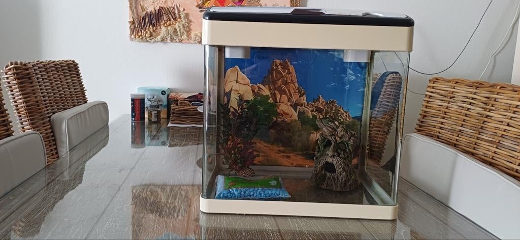 Superfish panorama aquarium 35 liter compleet, Dieren en Toebehoren, 110 cm of meer, Zo goed als nieuw, Hok, Ophalen