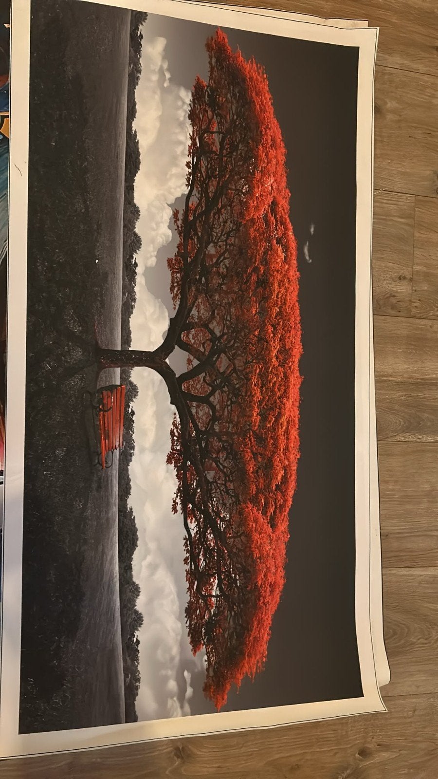 verschield diverse  Surrealistisch schilderij in de stijl va, Ophalen of Verzenden, Papier/karton, Print, Overig onderwerp