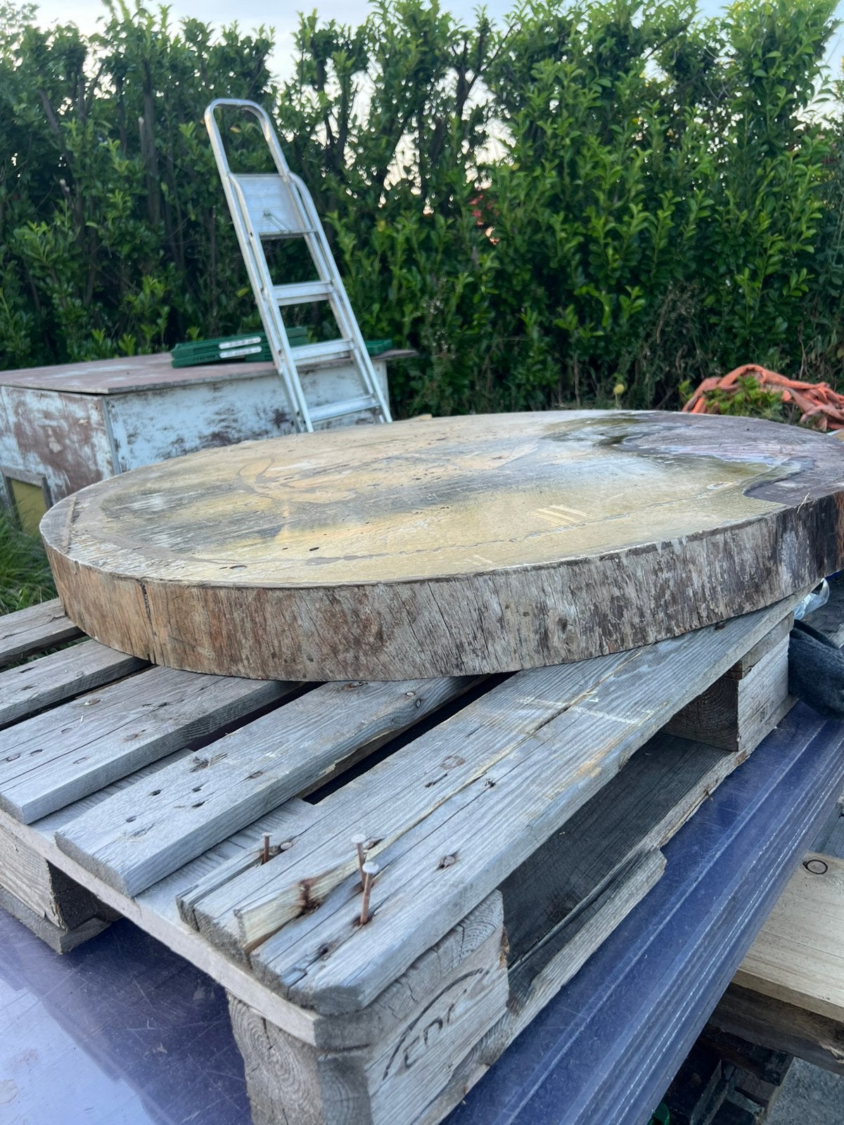 Boom schijf, Tuin en Terras, Terrasdelen en Vlonders, Ophalen of Verzenden, Gebruikt, Hout