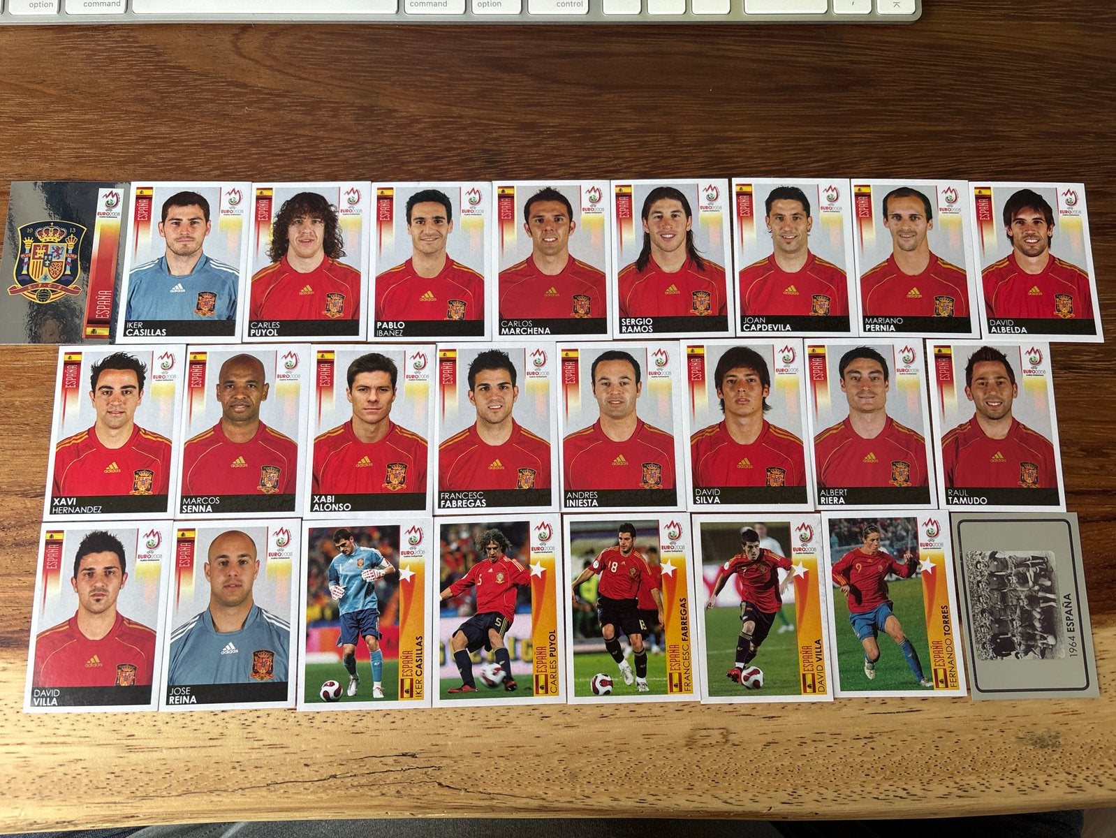 Panini Euro 2008 Spanje voetbalplaatjes, Ophalen of Verzenden, Zo goed als nieuw, Stickers en Plaatjes