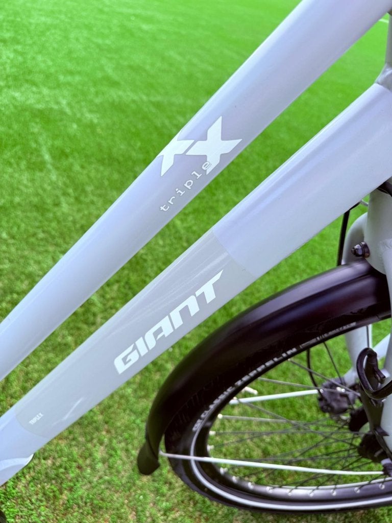 Giant tripel x elektrische damesfiets transportfiets, Fietsen en Brommers, Elektrische fietsen, Gebruikt, Niet ingevuld, Ophalen of Verzenden