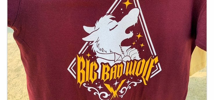 Gezocht: Big Bad Wolf Band shirt, maat S of M, Ophalen of Verzenden, Zo goed als nieuw, Kleding