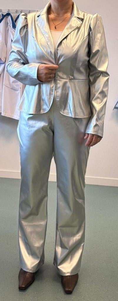 Zilver glitter pak maat m/ 38, Kleding | Dames, Ophalen of Verzenden, Zo goed als nieuw, Maat 38/40 (M), Carnaval