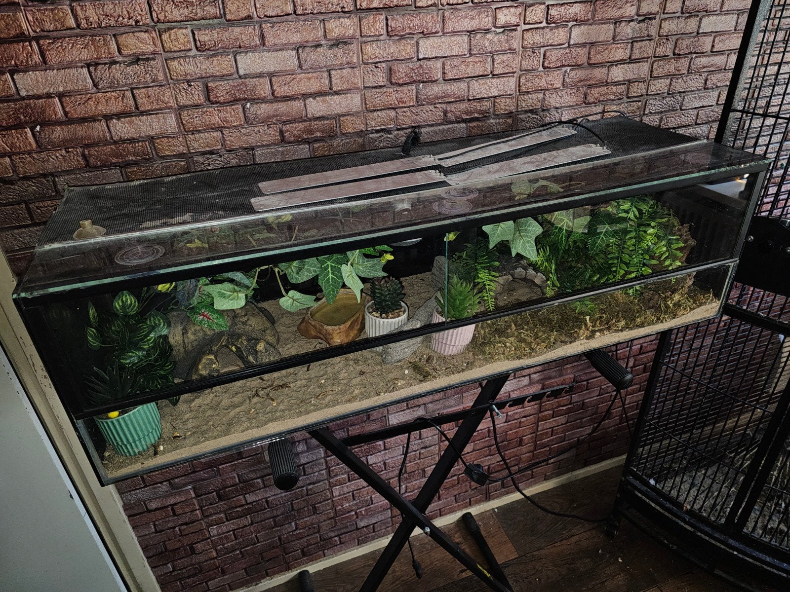 Terrarium gebruikt voor een luipaardgekko (90x30x25), Ophalen, Gebruikt, Terrarium of Paludarium