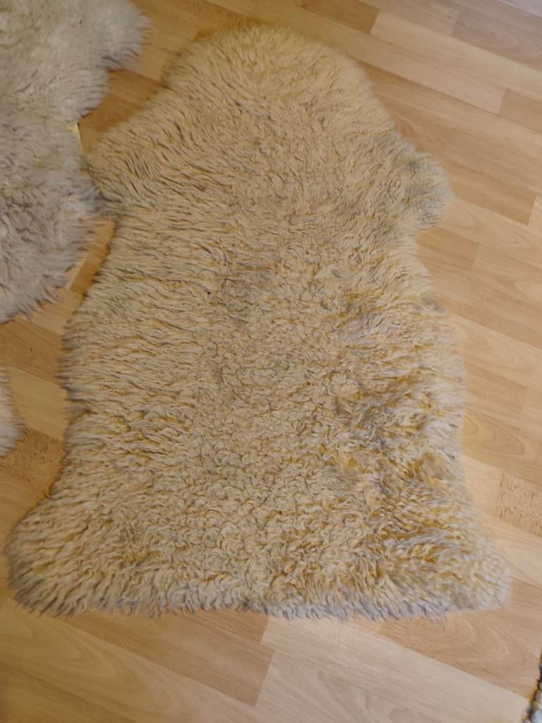 2 schapenvachten - apart of samen, Ophalen, Gebruikt, 100 tot 150 cm, Crème