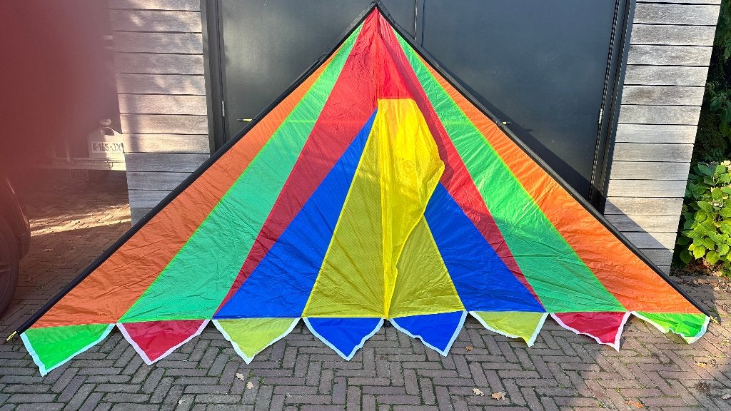 Grote Kleurrijke Deltavlieger, Ophalen of Verzenden, Zo goed als nieuw, Eenlijns