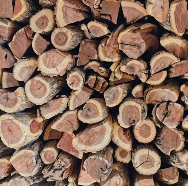 Sekelbos Hout 10 kg dozen - Brandhout voor Braai/BBQ, Minder dan 3 m³, Ophalen of Verzenden, Overige houtsoorten, Blokken