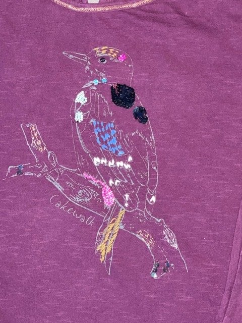 Cakewalk longsleeve maat 140 met vogelprint, Cakewalk, Meisje, Ophalen of Verzenden, Zo goed als nieuw