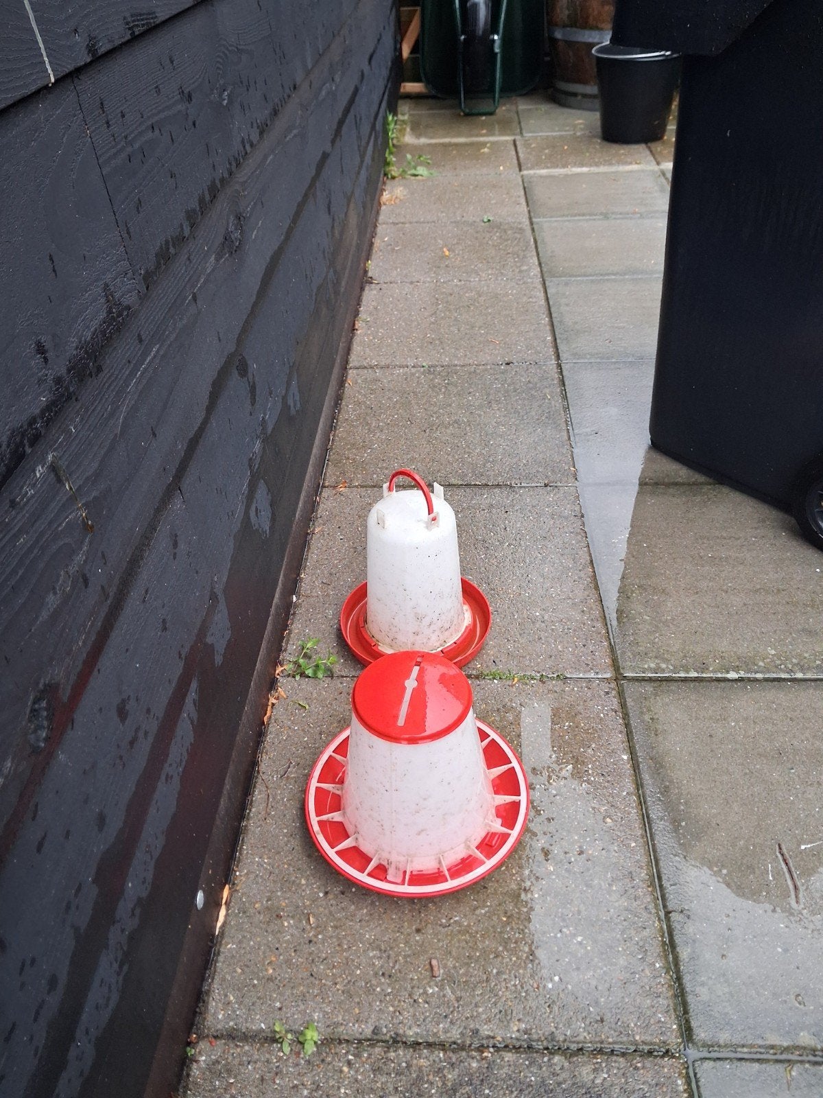Drinkbak en voederbak., Dieren en Toebehoren, Pluimvee | Toebehoren, Ophalen of Verzenden, Drinken en Voederen