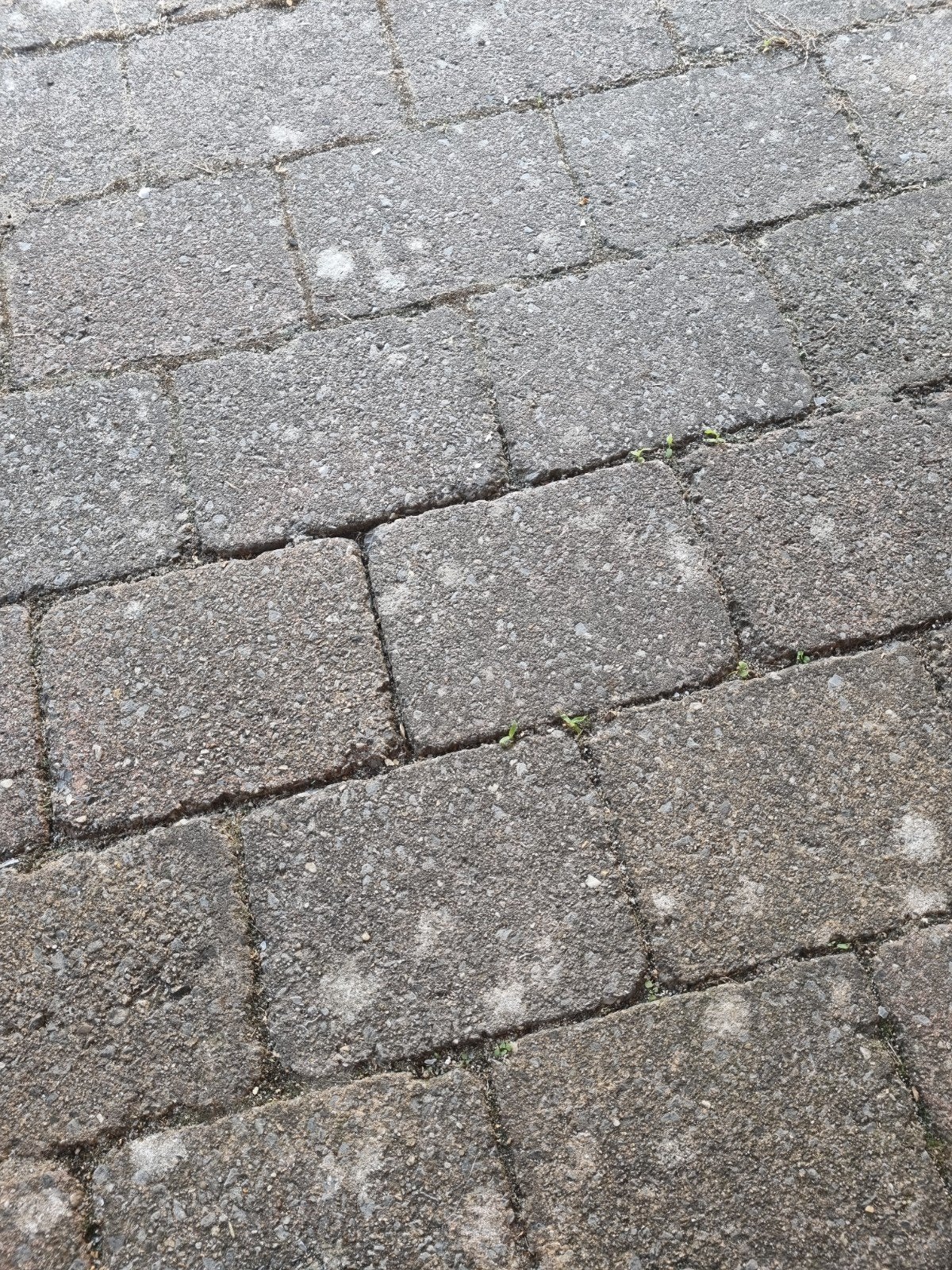 Gebruikte betontegels 15x20x5,5 cm - circa 34 m2, Tuin en Terras, Ophalen, Gebruikt, Klinkers, 10 m² of meer