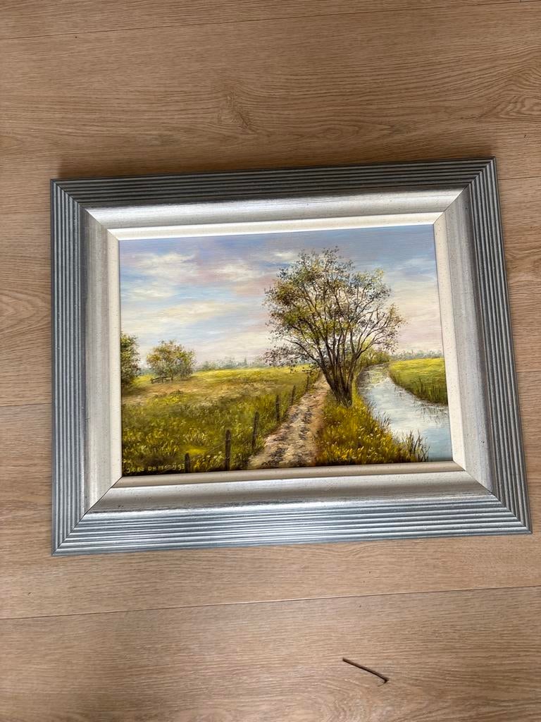 Schilderij Joke de Mooij, landschap met water, Ophalen of Verzenden