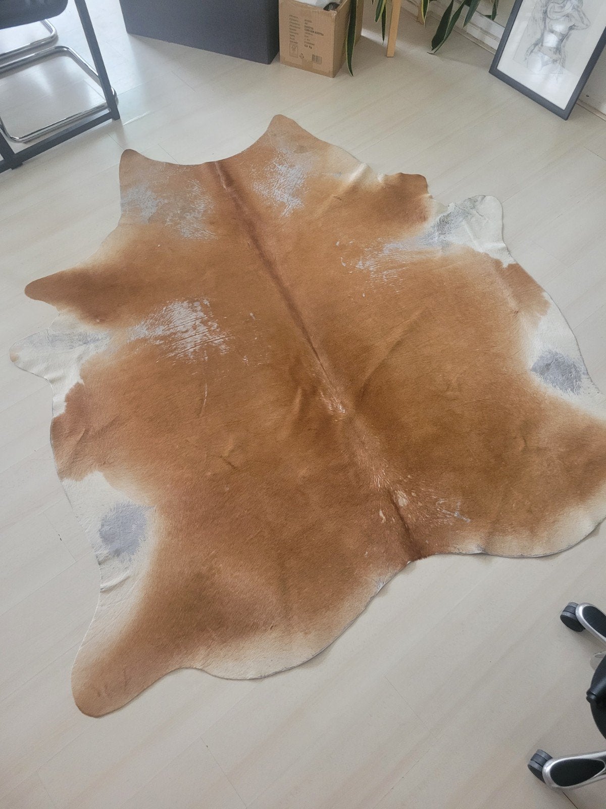 koeienvel koeienkleed TEAB, Ophalen, Gebruikt, Bruin, 200 cm of meer